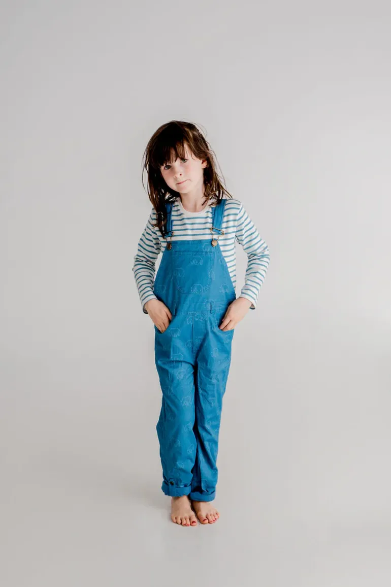 Dotty Dungarees | Nordic Bear Print Dungarees | Blue