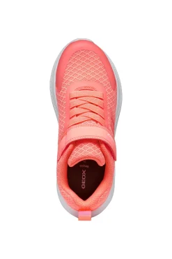 Geox Kids Trainers | Sprintye | Fluo Coral