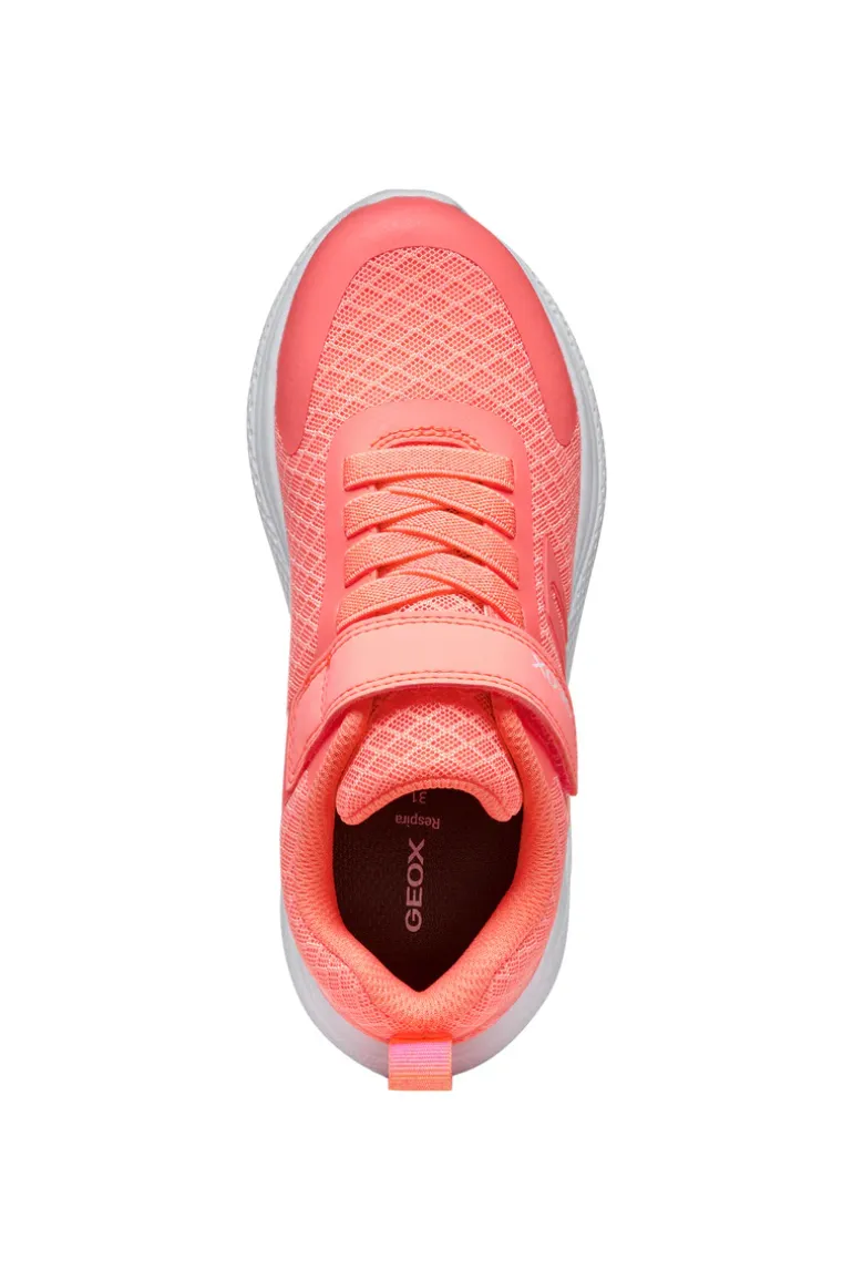 Geox Kids Trainers | Sprintye | Fluo Coral