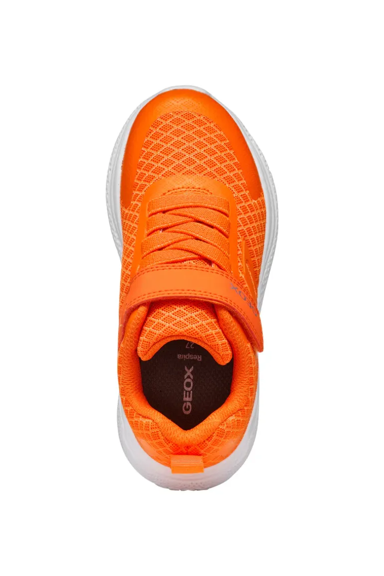 Geox Kids Trainers | Sprintye | Orange