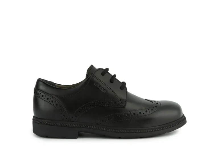 Geox School Shoes | Federico Brogue Lace Up | Black