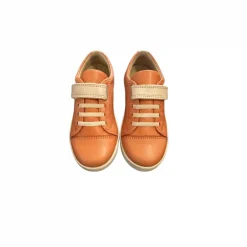 Petasil | Pierre | Coral & Cream