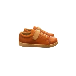 Petasil | Pierre | Coral & Cream