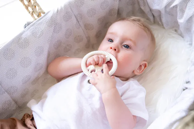 Sophie La Girafe | Circle Teether