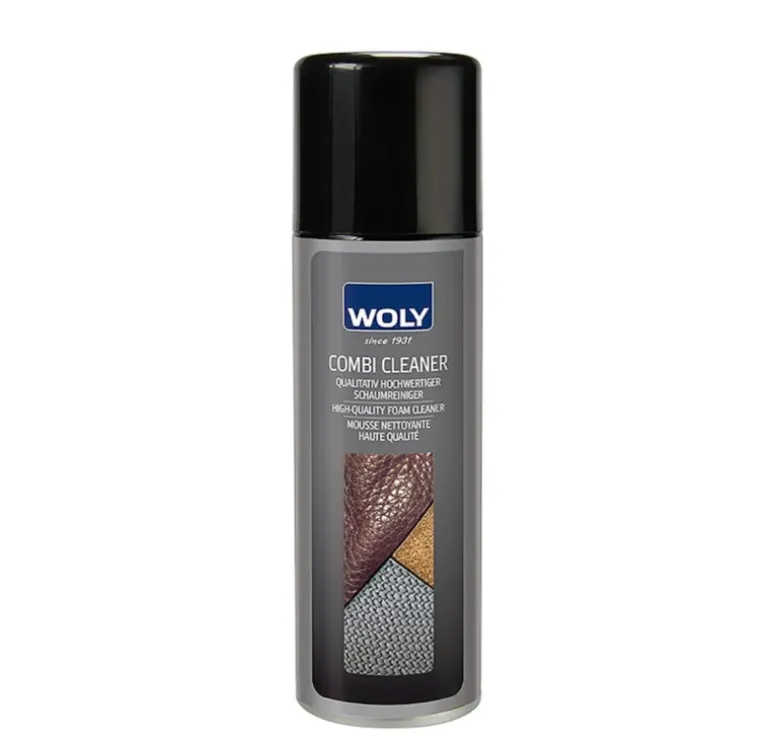 Woly | Combi Cleaner