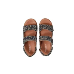 Zig and Star Sandals | Junior Solar | Khaki Camo Animal